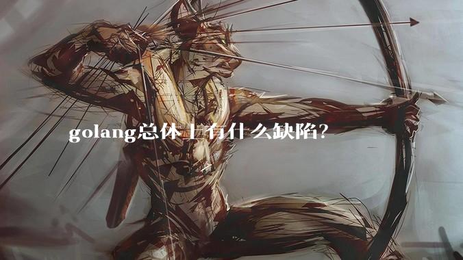 golang总体上有什么缺陷？