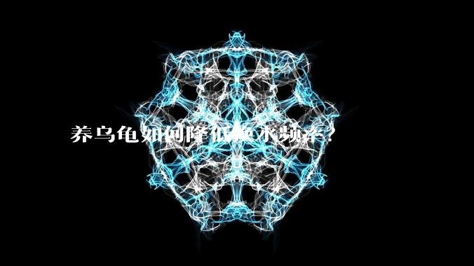 养乌龟如何降低换水频率？